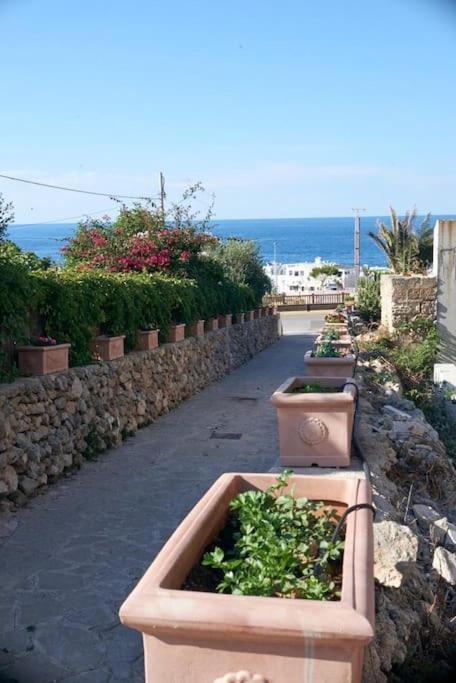 San Vito Apartament Polignano a Mare Extérieur photo